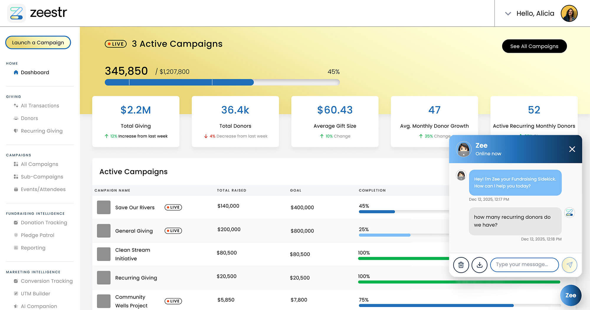 Nonprofit Fundraising dashboard